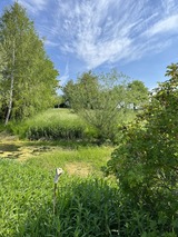 Ferienwohnung in Steffenshagen - FeWo mit Klavier - Bild 16