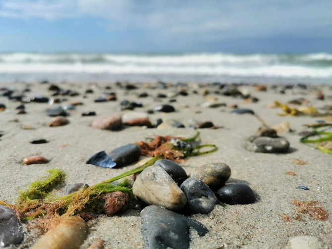 Ferienwohnung in B&ouml;rgerende - Appartement 4 - Ostseeblick - Strand B&ouml;rgerende