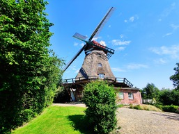 Windm&uuml;hle Lindaum&uuml;hlenholz