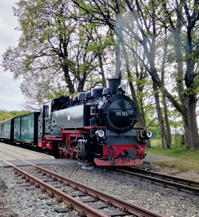 Ferienwohnung in Baabe - Dünenkieker - Bild 14