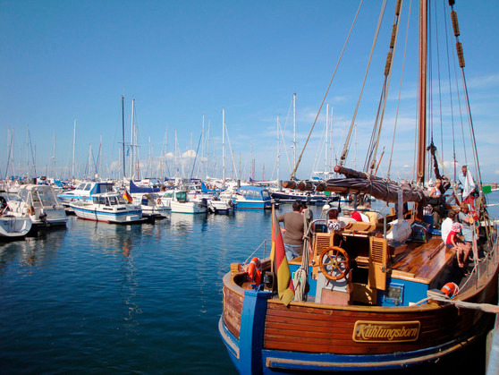 Ferienwohnung in K&auml;gsdorf - Gutspark Seeblick - Bild 9