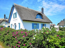 Kliff K&ouml;nigsh&ouml;rn