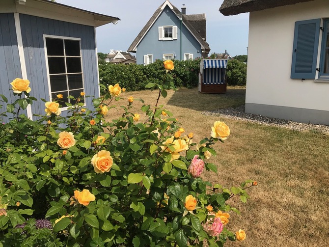 Ferienhaus in Glowe - Kliff K&ouml;nigsh&ouml;rn - Bild 23