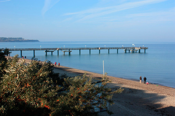 Ferienwohnung in Rerik - Villa Rerik - Bild 14