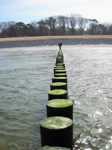 Ferienwohnung in Graal-M&uuml;ritz - Wellenkieker - Bild 13