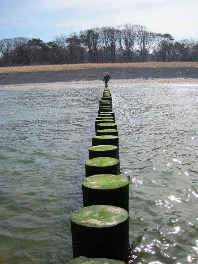 Ferienwohnung in Graal-M&uuml;ritz - Wellenkieker - Bild 17