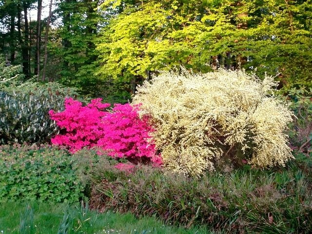 Ferienwohnung in Graal-M&uuml;ritz - Wellenkieker - Bild 19