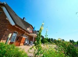 Ferienwohnung in Gro&szlig; Zicker - Sonnenkamp EG - Bild 14