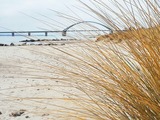 Ferienwohnung in Fehmarn OT Wulfen - Ferienwohnung Franzmann - Bild 18