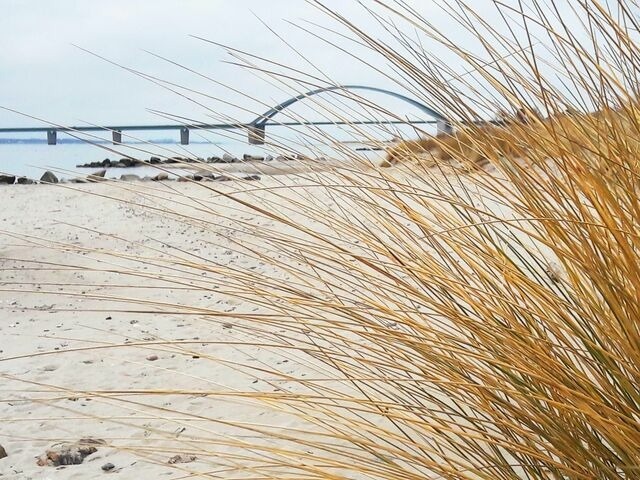 Ferienwohnung in Fehmarn OT Wulfen - Ferienwohnung Franzmann - Bild 18