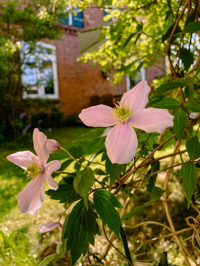 Ferienwohnung in Bünsdorf - Zeitweise - Bild 25