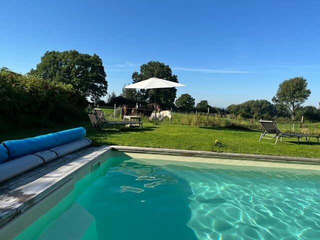 Ferienwohnung in Groß Wittensee - Hoheluft am Wittensee Apt. 1 - Bild 15