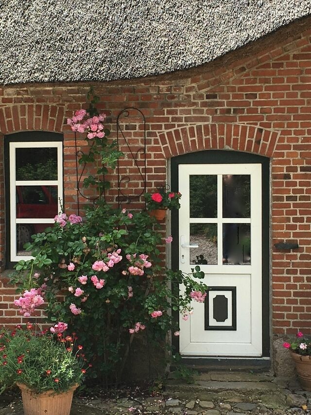 Ferienwohnung in Groß Wittensee - Hoheluft am Wittensee Apt. 1 - Bild 18