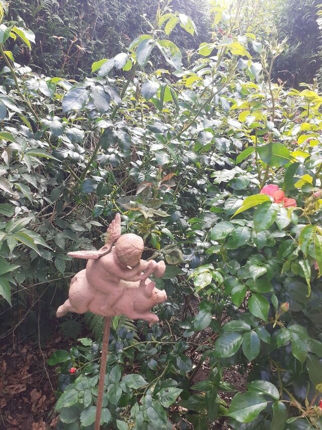 Ferienwohnung in Groß Wittensee - Martens - Bild 7