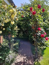 Ferienwohnung in Groß Wittensee - Martens - Bild 9