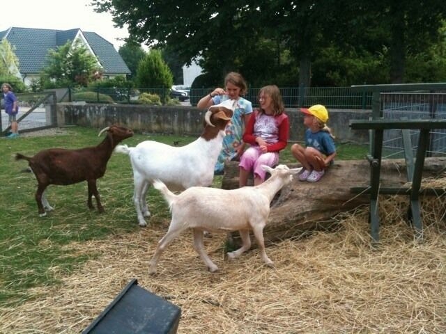 Ferienwohnung in Fehmarn OT Bannesdorf - "Ferienhof Alte M&uuml;hle" W 2 - Bild 8