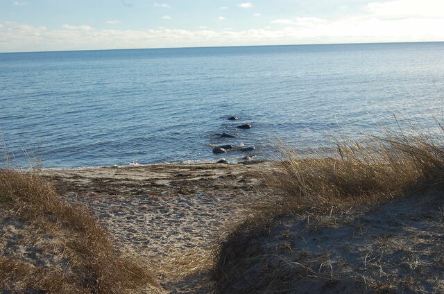 Ferienwohnung in Fehmarn OT Petersdorf - Ferienwohnung Harl&auml;nder - Bild 20