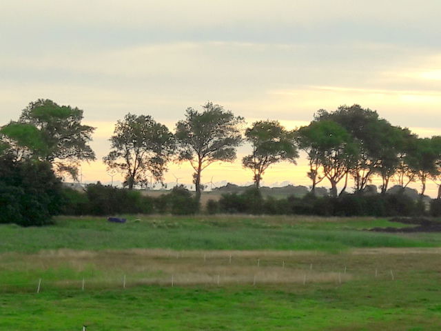 Ferienhaus in Fehmarn OT Fehmarnsund - Ferienhaus Br&uuml;ckenblick 12 A - direkt am Meer - Bild 16