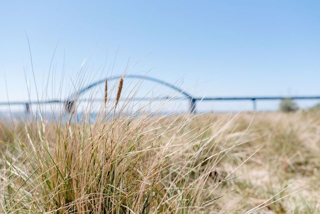 Ferienhaus in Fehmarn OT Fehmarnsund - Ferienhaus Br&uuml;ckenblick 12 A - direkt am Meer - Bild 20