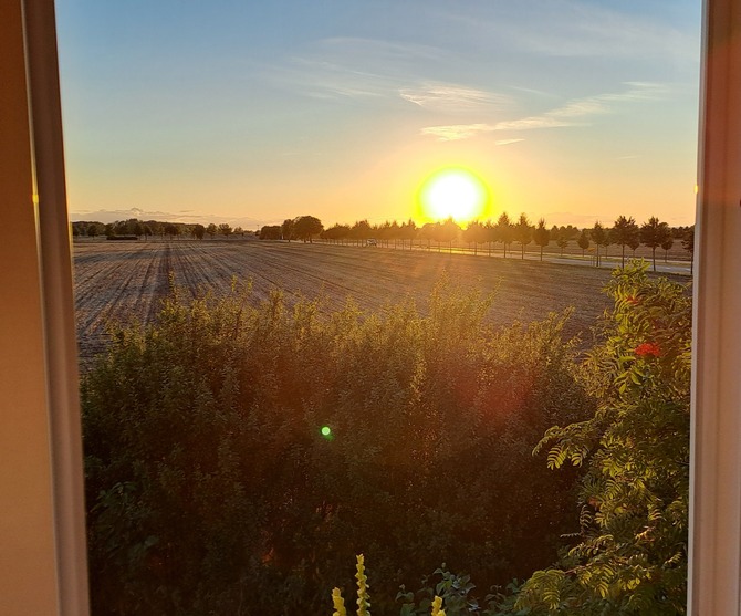 Ferienhaus in K&uuml;hlungsborn - Schlehdornhaus - Sonnenuntergang