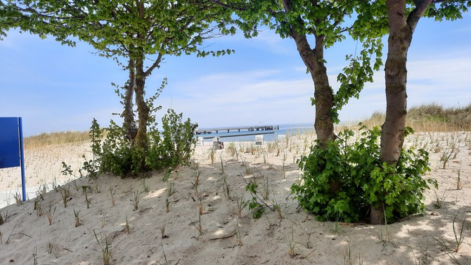 Ferienwohnung in Gro&szlig;enbrode - Hollaender - Bild 20