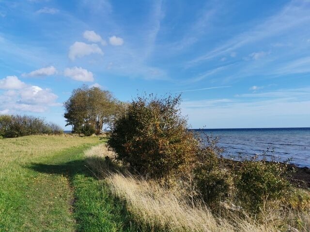 Ferienwohnung in Gro&szlig;enbrode - Vier Jahreszeiten I / 50 - Bild 11