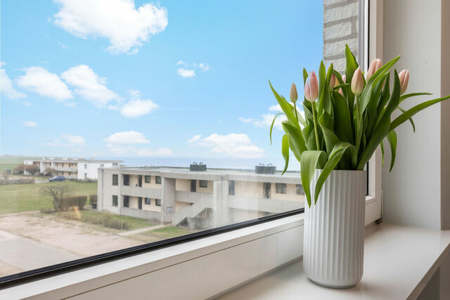 Ferienwohnung in Fehmarn OT Staberdorf - Sonnendeck mit Meerblick in Staberdorf - Bild 20
