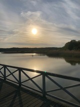 Ferienwohnung in Zirkow - Fewo Storchennest - Bild 20