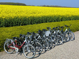 Ferienwohnung in S&uuml;ssau - Wiese - Bild 13