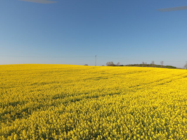 Ferienwohnung in Rabenkirchen-Faul&uuml;ck - Ferienappartement mit Schleiblick 20 - Bild 11