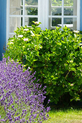 Ferienhaus in Gelting - F&uuml;rstenh&auml;uschen - Schloss Gelting - Bild 10