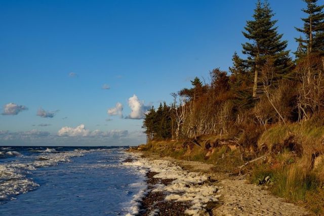 Ferienwohnung in Graal-Müritz - Strandhafer - Bild 20