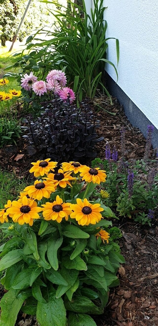 Ferienwohnung in Ostseeheilbad Zingst - Strandmöwe 1 - Bild 10
