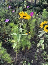Ferienwohnung in Steinbeck - MP 8 Steuerbord - Bild 23