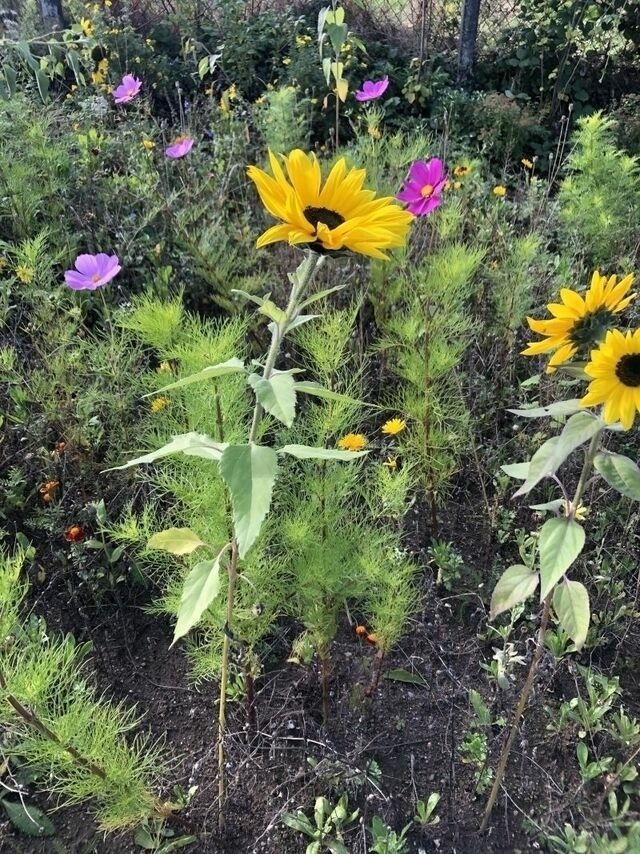 Ferienwohnung in Steinbeck - MP 8 Steuerbord - Bild 23