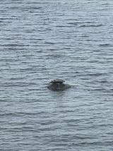 Ferienwohnung in Steinbeck - MP 8 Steuerbord - Bild 25