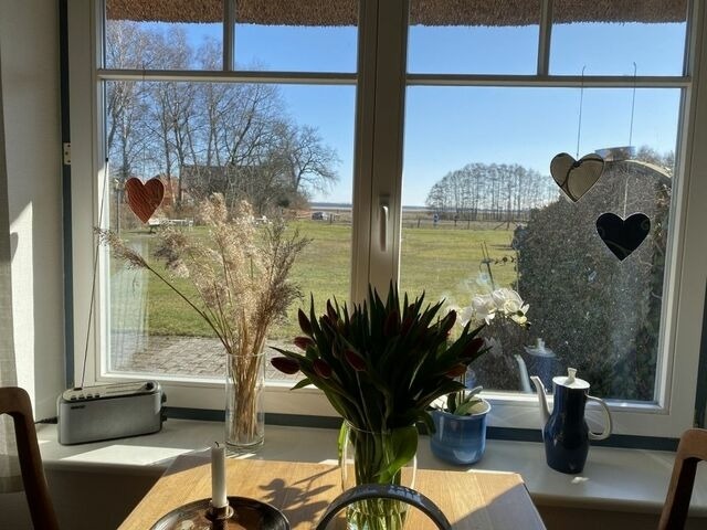 Ferienwohnung in Born a. Darß - Ferienwohnung Nr. 01 (EG) - Bild 7