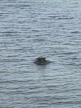 Ferienwohnung in Steinbeck - MP 6 Nordstern - Bild 18