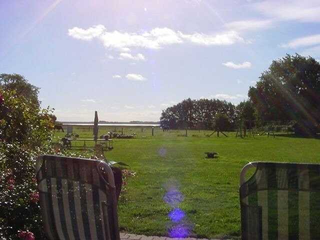 Ferienwohnung in Born a. Darß - Ferienwohnung Nr. 08 (EG + OG) - Bild 17