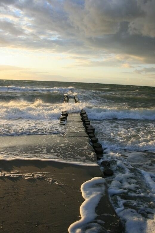 Ferienwohnung in Born a. Darß - Ferienwohnung Nr. 08 (EG + OG) - Bild 24