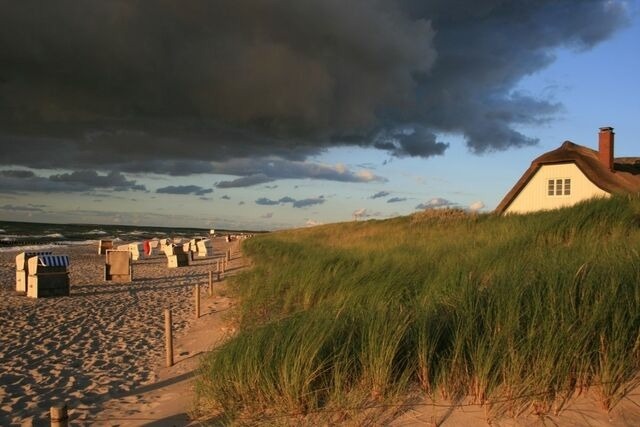 Ferienwohnung in Born a. Darß - Ferienwohnung Nr. 04 (EG) - Bild 15