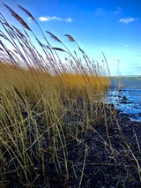 Appartement in Laboe - F&ouml;rdekoje - Bild 20