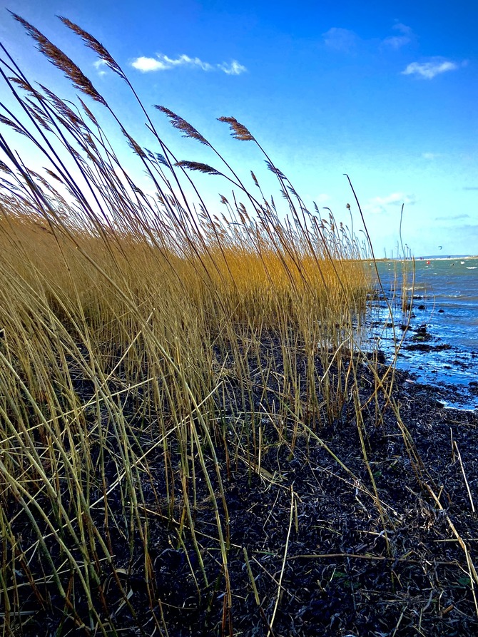Appartement in Laboe - F&ouml;rdekoje - Bild 20