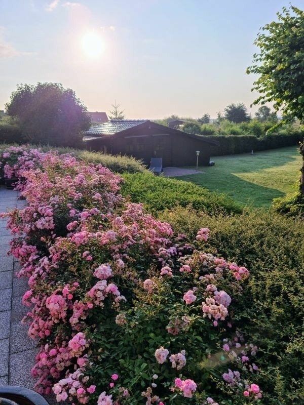 Ferienwohnung in Breege - Sonnenhus 2 - Breege/R&uuml;gen - Bild 21