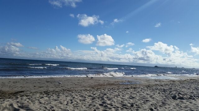 Ferienwohnung in Kellenhusen - Rosa Canina, W6 - Bild 10