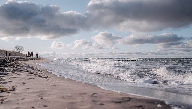 Ferienwohnung in Ahrenshoop - Seestern - Bild 7
