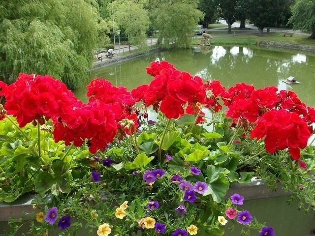 Ferienwohnung in Stakendorf - Ferienwohnung Dorette in Stakendorf mit Blick &uuml;ber den Dorfteich - Bild 15