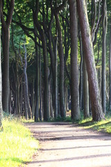 Ferienwohnung in B&ouml;rgerende-Rethwisch - Ferienwohnung Arne - Bild 20