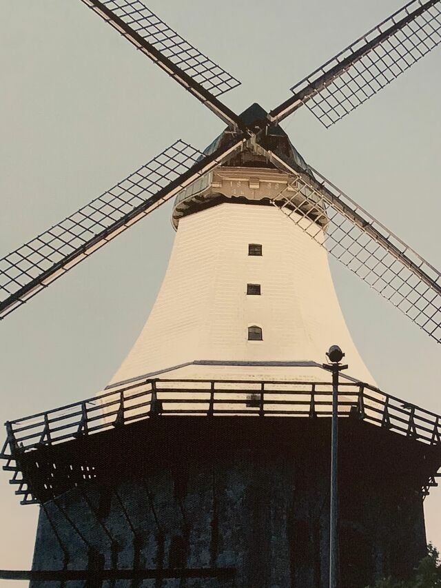 Ferienhaus in Kappeln - Zwischen Schlei & Ostsee - Bild 22