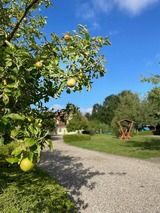 Ferienwohnung in Fehmarn OT Wulfen - Jelle von der Welle - Bild 20